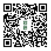 绿城